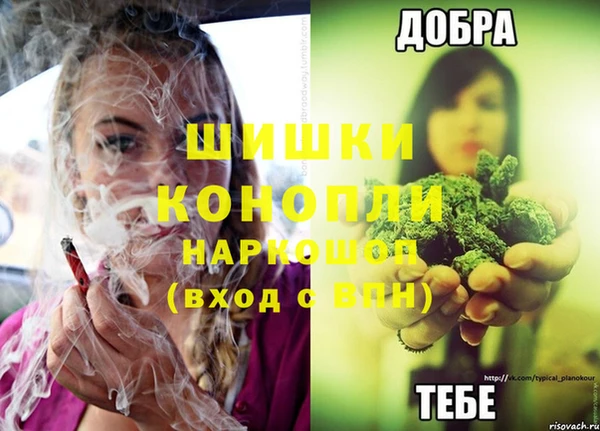 а пвп мука Бородино