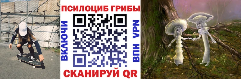 Псилоцибиновые грибы Psilocybine cubensis  закладка  Кизел 