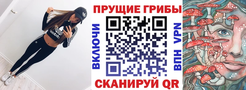 Псилоцибиновые грибы прущие грибы Кизел