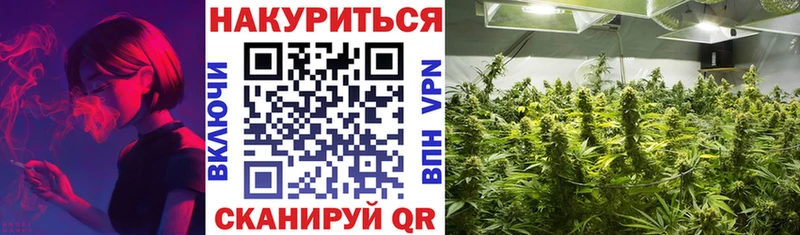 Каннабис Amnesia  где продают наркотики  hydra зеркало  Кизел 